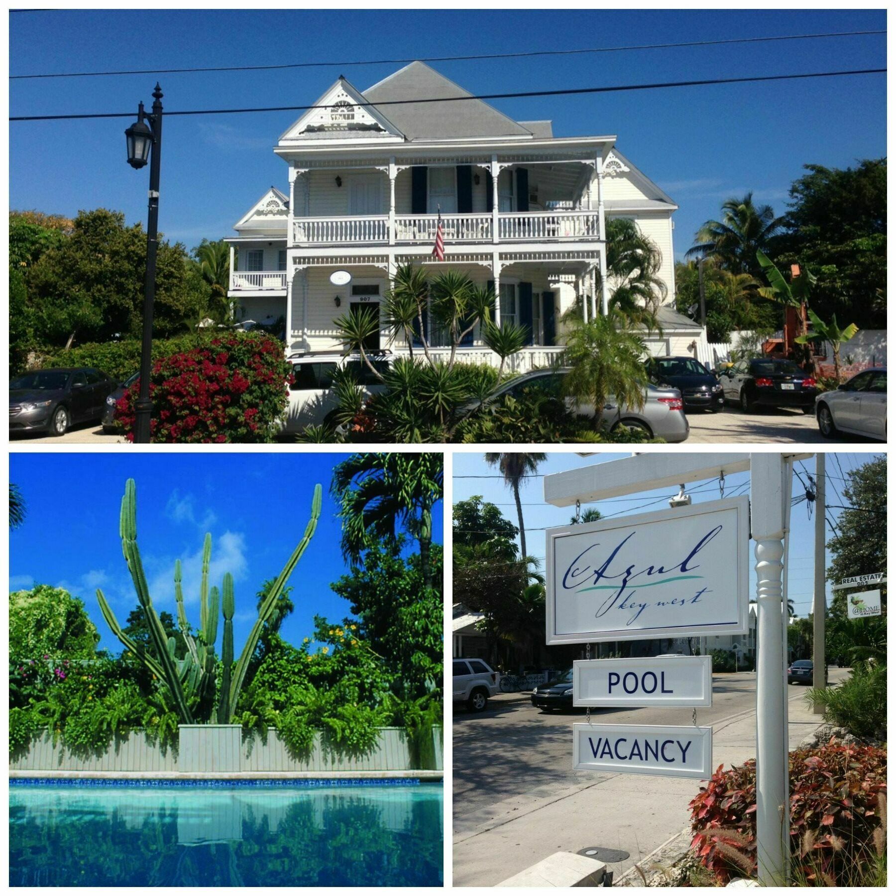 Bed and breakfast Azul Key West Extérieur photo